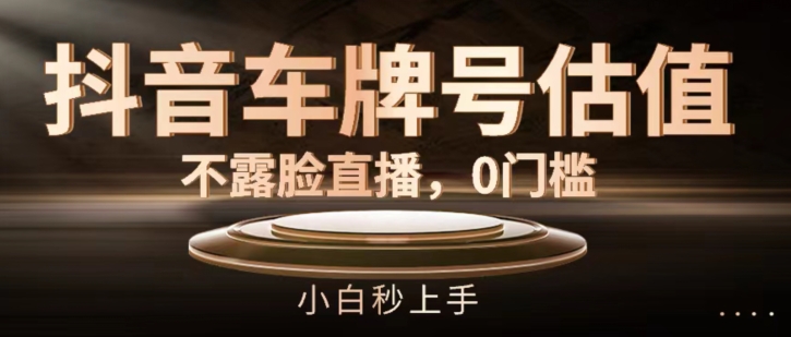 抖音车牌号估值，不露脸直播，0门槛，小白秒上手【揭秘】-大兵轻创资源库