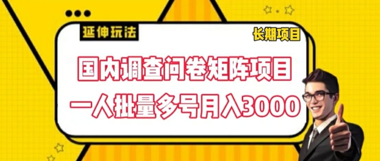 国内调查问卷矩阵项目，一人批量多号月入3000【揭秘】-大兵轻创资源库