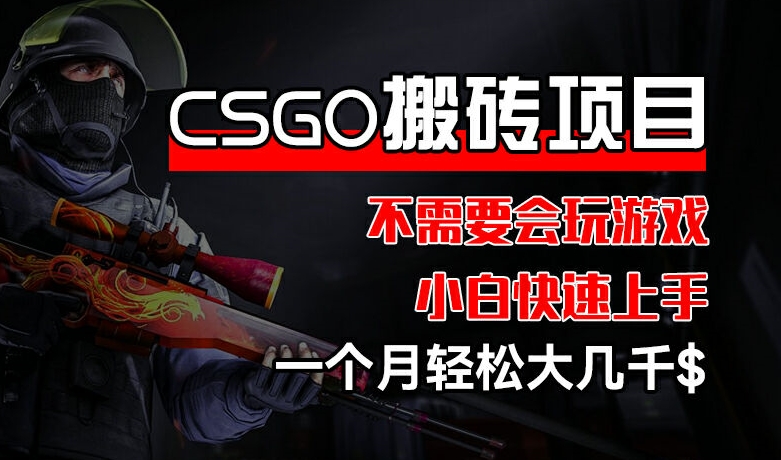 CSGO 装备搬砖项目，操作简单，不需要会玩游戏，小白也能快速上手，一个月轻松大几千【揭秘】-大兵轻创资源库