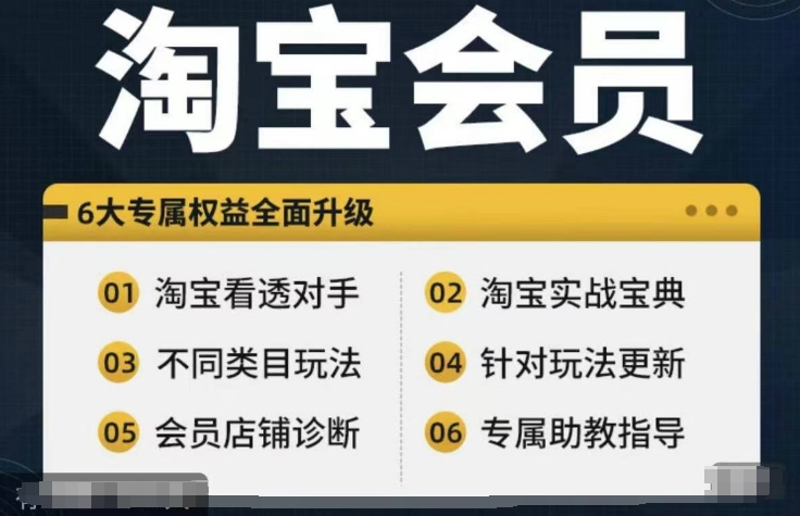淘宝会员【淘宝所有课程，全面分析对手】，初级到高手全系实战宝典-大兵轻创资源库