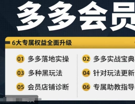 拼多多会员，拼多多实战宝典+实战落地实操，从新手到高阶内容全面覆盖-大兵轻创资源库