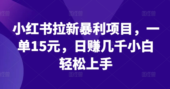 小红书拉新暴利项目，一单15元，日赚几千小白轻松上手【揭秘】-大兵轻创资源库