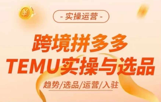 跨境拼多多TEMU实操与选品，多多temu跨境选品运营实操-大兵轻创资源库