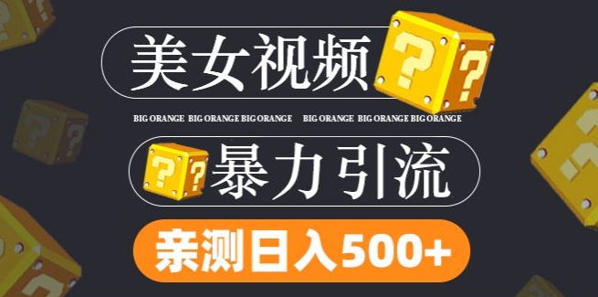 搬运tk美女视频全网分发，日引s粉300+，轻松变现，不限流量不封号【揭秘】-大兵轻创资源库