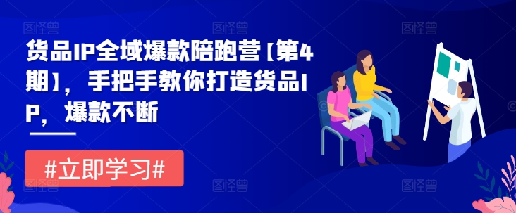 货品IP全域爆款陪跑营【第4期】，手把手教你打造货品IP，爆款不断-大兵轻创资源库