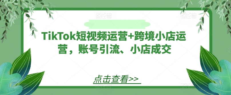 TikTok短视频运营+跨境小店运营，账号引流、小店成交-大兵轻创资源库