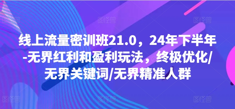 线上流量密训班21.0，24年下半年-无界红利和盈利玩法，终极优化/无界关键词/无界精准人群-大兵轻创资源库