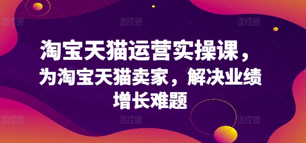 淘宝天猫运营实操课，为淘宝天猫卖家，解决业绩增长难题-大兵轻创资源库