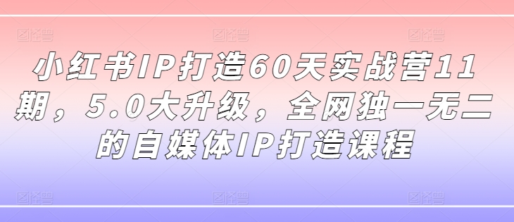 小红书IP打造60天实战营11期，5.0大升级，全网独一无二的自媒体IP打造课程-大兵轻创资源库