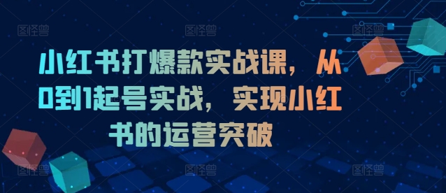 小红书打爆款实战课，从0到1起号实战，实现小红书的运营突破-大兵轻创资源库