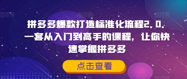 拼多多爆款打造标准化流程2.0，一套从入门到高手的课程，让你快速掌握拼多多-大兵轻创资源库