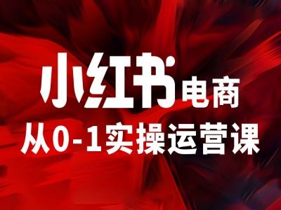 小红书电商从0-1实操运营课，让你从小白到精英-大兵轻创资源库