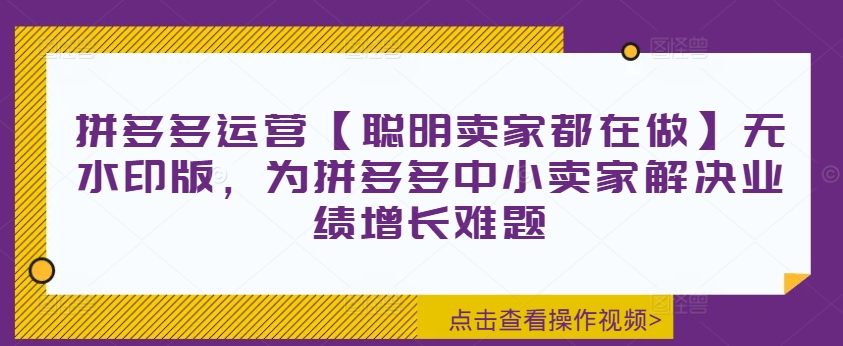 拼多多运营【聪明卖家都在做】无水印版，为拼多多中小卖家解决业绩增长难题-大兵轻创资源库