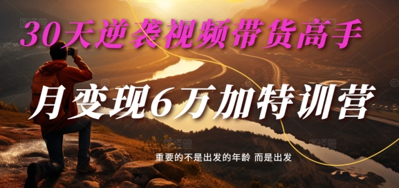 30天逆袭视频带货高手，单月变现6万加特训营-麦子甜-大兵轻创资源库