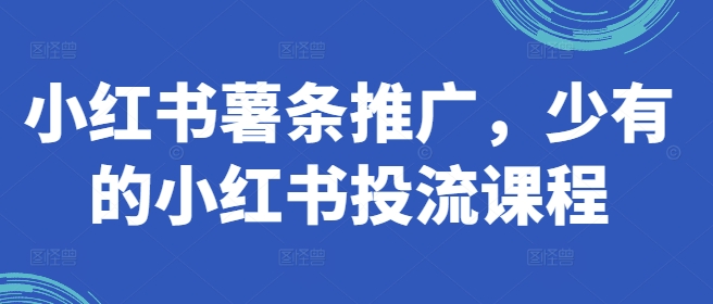 小红书薯条推广，少有的小红书投流课程-大兵轻创资源库