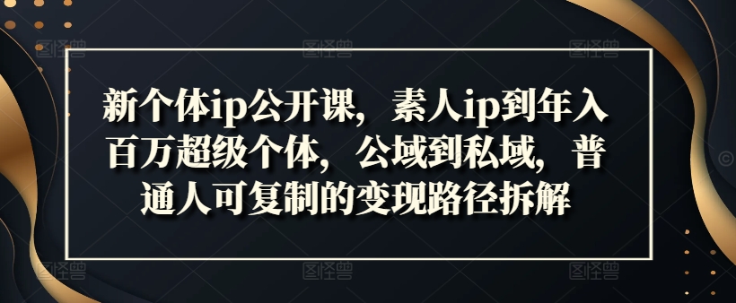 新个体ip公开课，素人ip到年入百万超级个体，公域到私域，普通人可复制的变现路径拆解-大兵轻创资源库