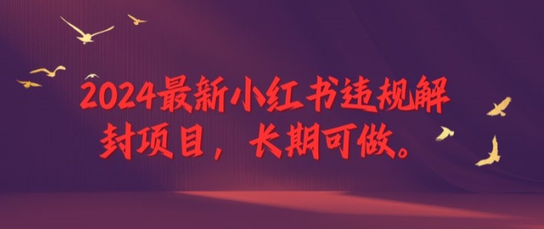 2024最新小红书违规解封项目，长期可做，一个可以做到退休的项目【揭秘】-大兵轻创资源库