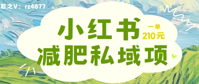 小红书减肥粉，私域变现项目，一单就达210元，小白也能轻松上手【揭秘】-大兵轻创资源库