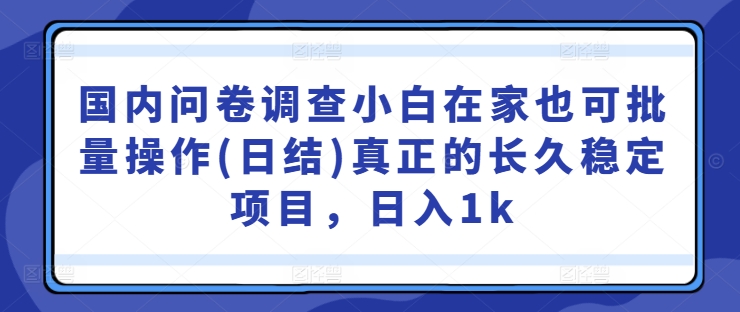 国内问卷调查小白在家也可批量操作(日结)真正的长久稳定项目，日入1k【揭秘】-大兵轻创资源库