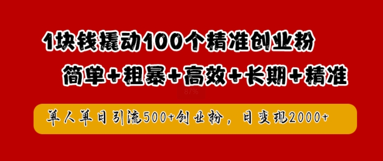 1块钱撬动100个精准创业粉，简单粗暴高效长期精准，单人单日引流500+创业粉，日变现2k【揭秘】-大兵轻创资源库