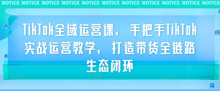 TikTok全域运营课，手把手TikTok实战运营教学，打造带货全链路生态闭环-大兵轻创资源库