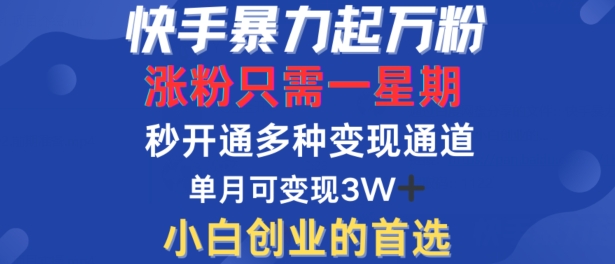 快手暴力起万粉，涨粉只需一星期，多种变现模式，直接秒开万合，单月变现过W【揭秘】-大兵轻创资源库