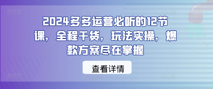 2024多多运营必听的12节课，全程干货，玩法实操，爆款方案尽在掌握-大兵轻创资源库