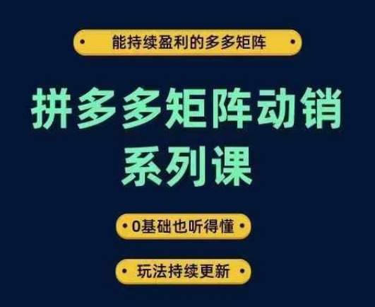 拼多多矩阵动销系列课，能持续盈利的多多矩阵，0基础也听得懂，玩法持续更新-大兵轻创资源库