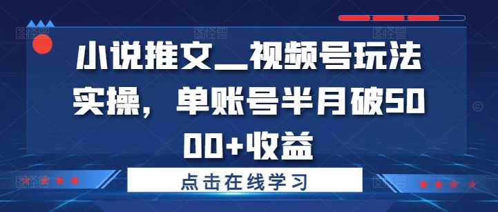 小说推文—视频号玩法实操，单账号半月破5000+收益-大兵轻创资源库