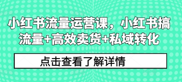 小红书流量运营课，小红书搞流量+高效卖货+私域转化-大兵轻创资源库