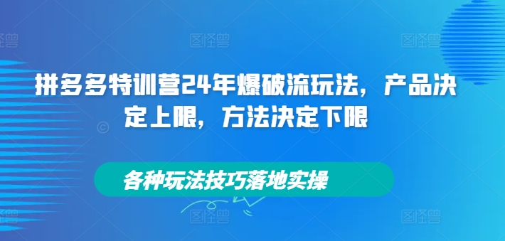 拼多多特训营24年爆破流玩法，产品决定上限，方法决定下限，各种玩法技巧落地实操-大兵轻创资源库