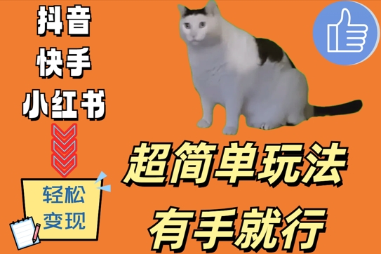 超简单玩法，有手就行，靠猫咪视频日入500+【揭秘】-大兵轻创资源库