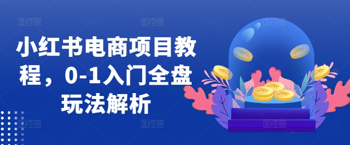 小红书电商项目教程，0-1入门全盘玩法解析-大兵轻创资源库