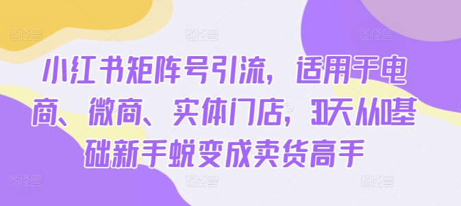 小红书矩阵号引流，适用于电商、微商、实体门店，30天从0基础新手蜕变成卖货高手-大兵轻创资源库