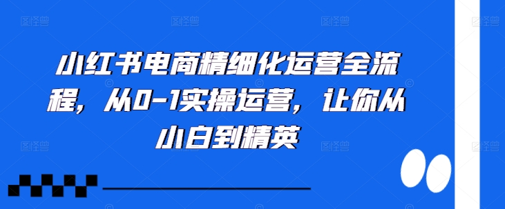小红书电商精细化运营全流程，从0-1实操运营，让你从小白到精英-大兵轻创资源库