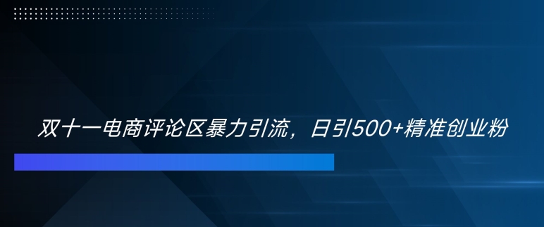 双十一电商评论区暴力引流，日引500+精准创业粉【揭秘】-大兵轻创资源库