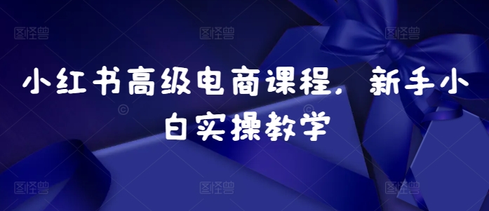 小红书高级电商课程，新手小白实操教学-大兵轻创资源库