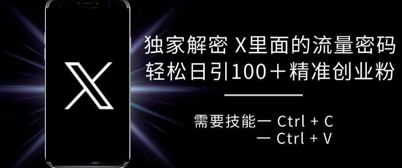独家解密 X 里面的流量密码，复制粘贴轻松日引100+-大兵轻创资源库