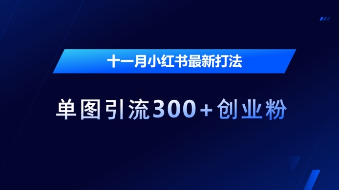 十一月小红书最新打法，单图引流300+创业粉【揭秘】-大兵轻创资源库