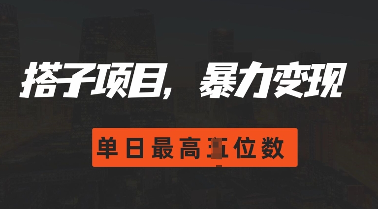 2024搭子玩法，0门槛，暴力变现，单日最高破四位数【揭秘】-大兵轻创资源库