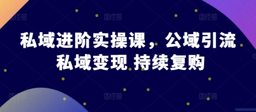 私域进阶实操课，公域引流 私域变现 持续复购-大兵轻创资源库