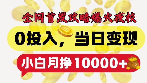 全网首发爆火夜校，0投入，当日变现，小白轻松月入1w+【揭秘】-大兵轻创资源库