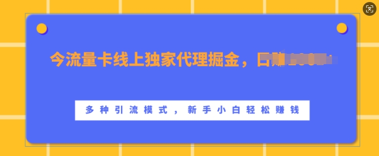 流量卡线上独家代理掘金，日入1k+ ，多种引流模式，新手小白轻松上手【揭秘】-大兵轻创资源库