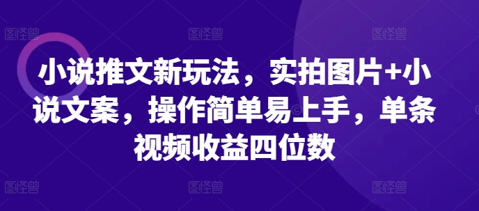 小说推文新玩法，实拍图片+小说文案，操作简单易上手，单条视频收益四位数-大兵轻创资源库