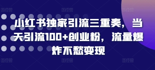 小红书独家引流三重奏，当天引流100+创业粉，流量爆炸不愁变现【揭秘】-大兵轻创资源库