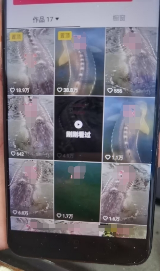 外面卖399的国学佛像原创暴力起号技术，快速起号，7天可达到一个万粉号-大兵轻创资源库
