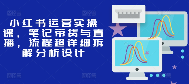 小红书运营实操课，笔记带货与直播，流程超详细拆解分析设计-大兵轻创资源库