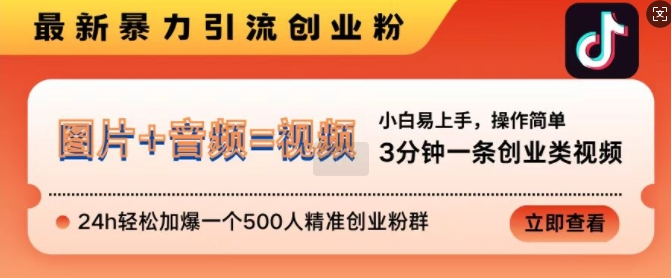 抖音最新暴力引流创业粉，3分钟一条创业类视频，24h轻松加爆一个500人精准创业粉群【揭秘】-大兵轻创资源库