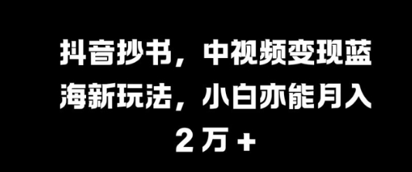 抖音抄书，中视频变现蓝海新玩法，小白亦能月入 过W【揭秘】-大兵轻创资源库