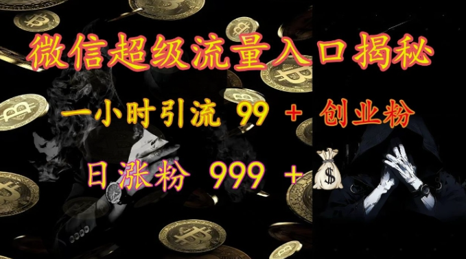 微信超级流量入口揭秘：一小时引流 99 + 创业粉，日涨粉 999 +-大兵轻创资源库